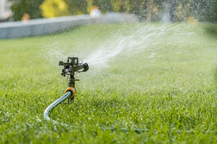 8 Environmentally Friendly Lawn Care Tips and Advice